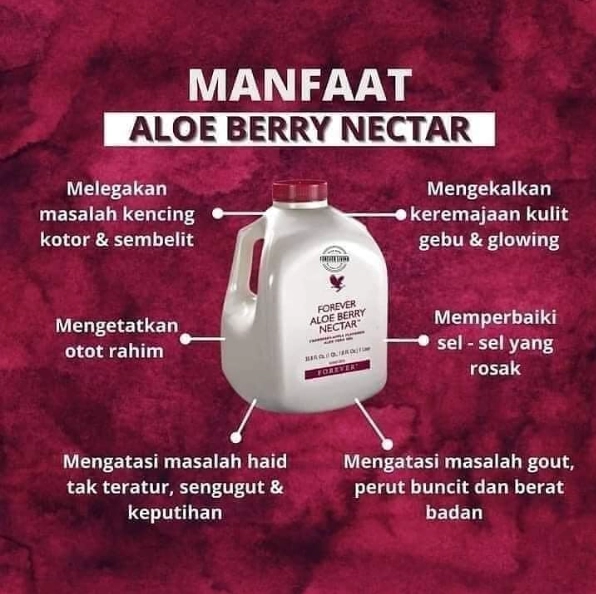 Produk Forever Aloe Berry Nectar NINI BIZZ
